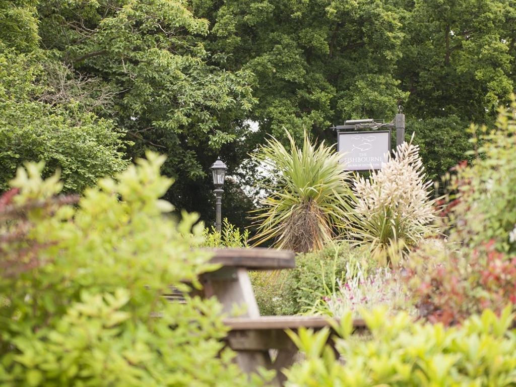 Bed and Breakfast The Fishbourne à Fishbourne  Extérieur photo